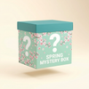 Spring Mystery Box